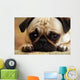 Sad Pug Puppy Wall Mural
