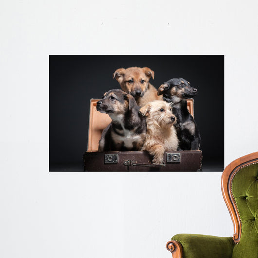 dog Wall Mural