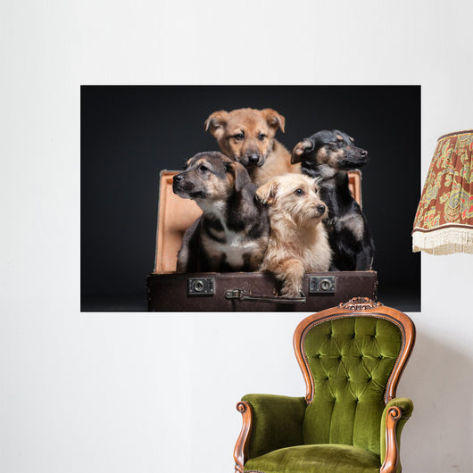 dog Wall Mural