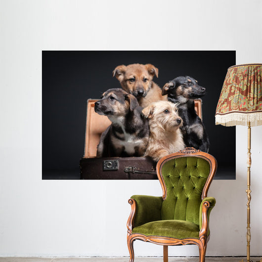 dog Wall Mural