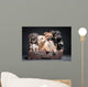 Dog Wall Mural
