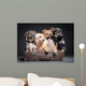 dog Wall Mural