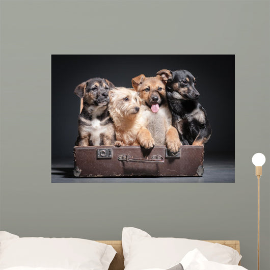 dog Wall Mural