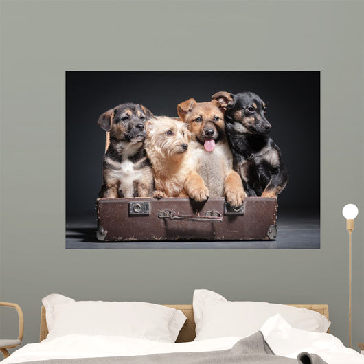 dog Wall Mural