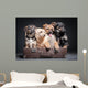 dog Wall Mural