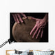 Motion Picture of a bongo Player Wall Mural