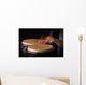 Motion Picture of a bongo Player Wall Mural