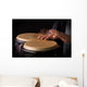 Motion Picture of a bongo Player Wall Mural