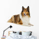 Rough Collie