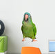 Blue Crown Conure Wall Decal