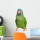Blue Crown Conure Wall Decal
