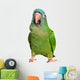Blue Crown Conure Wall Decal