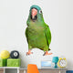 Blue Crown Conure Wall Decal