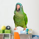 Blue Crown Conure Wall Decal