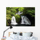 Japanese Canyon Waterfall Wall Mural