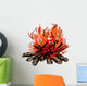 Fire of campfire with firewood Wall Decal