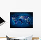 Global Interaction