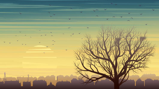 Lonely Tree with Birds Wall Decal