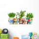 Herb Garden