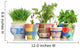 Herb Garden