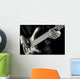 jazz bassist musical Wall Mural