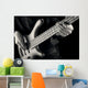 jazz bassist musical Wall Mural