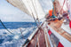 sail boat navigating on the waves Wall Mural