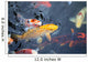 colorful carp Wall Mural