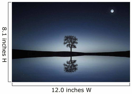 Tree Wall Mural