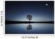 Tree Wall Mural