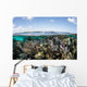 Caribbean Coral Reef Wall Mural