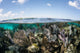 Caribbean Coral Reef Wall Mural