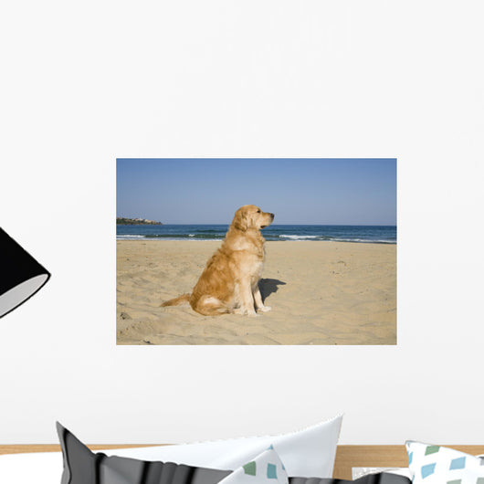 Golden Retriever Beach