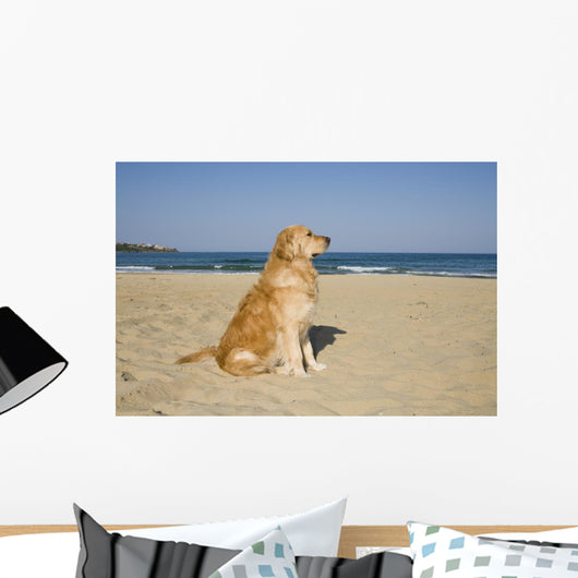 Golden Retriever Beach