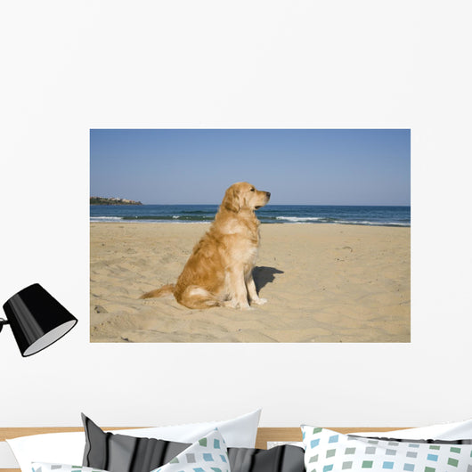 Golden Retriever Beach