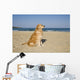 Golden Retriever Beach