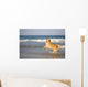 Golden Retriever Beach