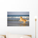 Golden Retriever Beach
