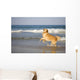 Golden Retriever Beach