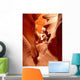 Antelope Canyon 1 Wall Decal