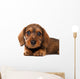 Dachshund puppy Wall Decal