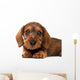 Dachshund puppy Wall Decal