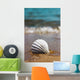 White Marine Shell Sand Wall Decal