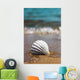 White Marine Shell Sand Wall Decal