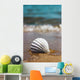 White Marine Shell Sand Wall Decal