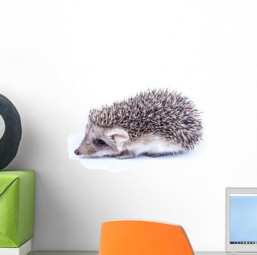 Little Hedgehog Wall Decal