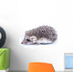Little Hedgehog Wall Decal