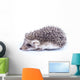 Little hedgehog Wall Decal