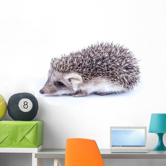 Little hedgehog Wall Decal