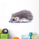 Little hedgehog Wall Decal